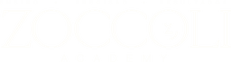 Zoccoli Academy
